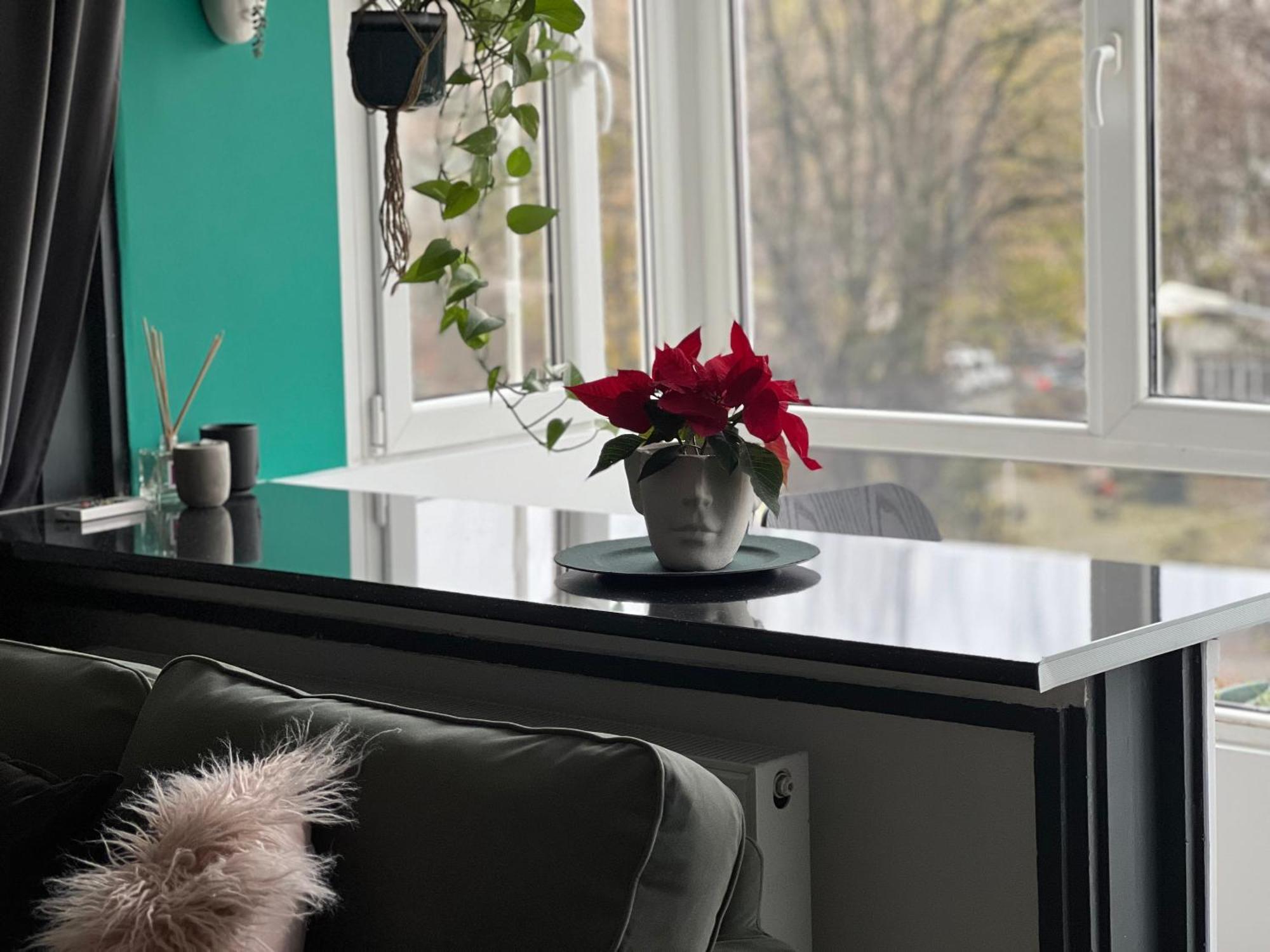 Cosy Studio Floreasca Bukarest Eksteriør billede